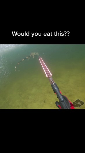 Julie Higgs on TikTok