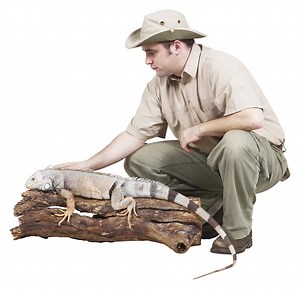 Certifications Needed for Zoologists & Wildlife Biologists