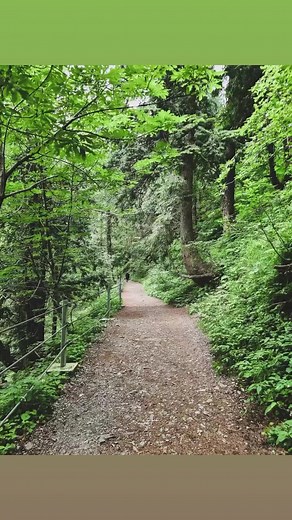 Deep Forests of Nathia Gali 🇵🇰♥️ | Pakistan Tourism