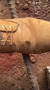 Why Honey Bees Die After Stinging #science #fact #honey | Aware Eye