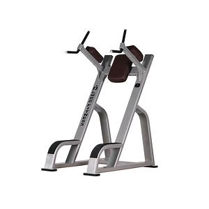 [Hot Item] Lmcc Commercial Chin DIP Leg Raise Bar Muscle Exercise Power Tower Fitness Equipment