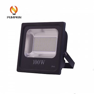 [Hot Item] Ce RoHS SMD 100W LED Outdoor Light LED Flood Light