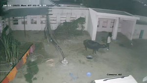 2.3M views · 24K reactions | बर के पास फत्ताखेड़ा गांव में लूट की...