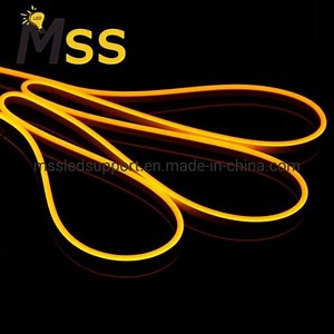 [Hot Item] 2.5cm or 1.0cm Per Cut 12V 24V Neon LED Strip for Signage Lighting and Decoration Lighting