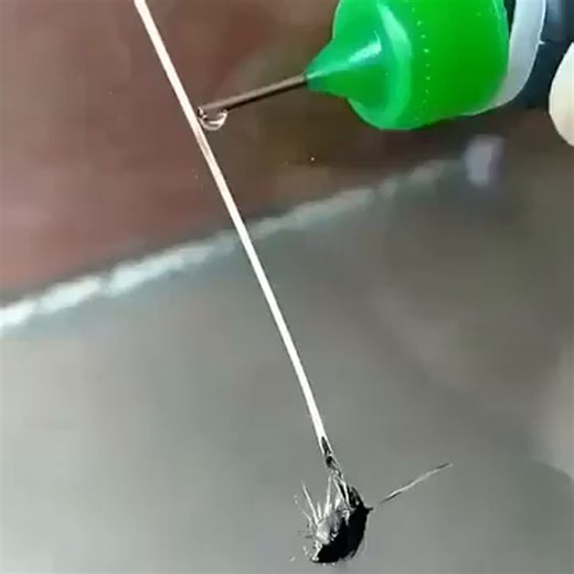 584K views · 2.9K reactions | Planning to fix a crack in glass on your own? Learn more about what to avoid when using glass repair liquid. | Serrano Emily Manaay | Facebook