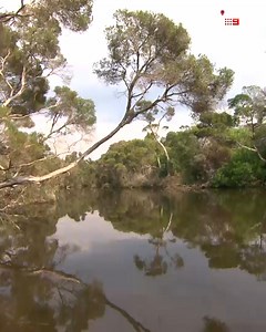 Stroll the boardwalk with Brodie Harper in Mount Martha: https://nine.social/cMn 💛 #9Postcards | Streaming on 9Now | Postcards