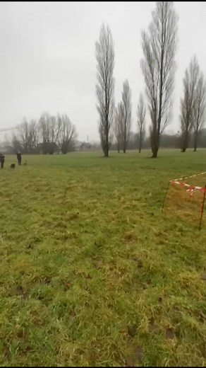 #novastar.jacht #heidewachtel #jachttraining | Ymke de Groot