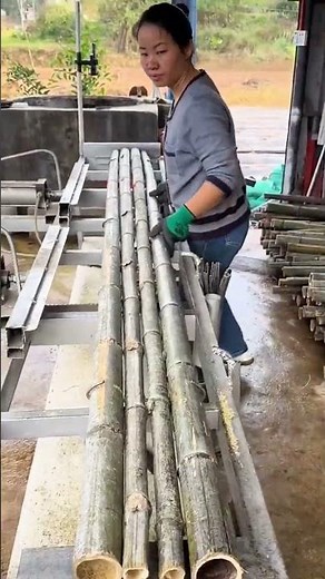 Straightening process of bamboo