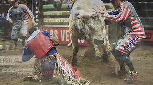 Animal advocates push for rodeo bans in California
