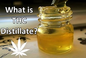 3.7K views · 51 reactions | What is THC distillate and how strong is it reallly, read this https://cannabis.net/blog/news/what-is-thc-distillate | Cannabis.Net | Facebook