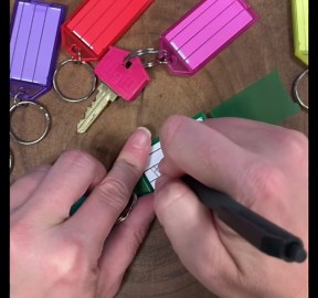 Lucky Line Key Tag with Flap,Split Ring & Paper Insert for Labeling, Key Organization & Identification, 10-Pack, Green (6054010)