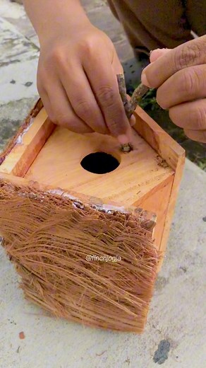 3.1K views · 86 reactions | Adding natural coconut fiber to this wooden nest box to create a warm and safe space for small birds. Simple details like this help them feel secure during the breeding season. #AviaryLife #Finches #BirdCare #NestBox #HighCPMVideo | Indra Prihantoro | Facebook