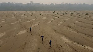 Drought, fires and deforestation battered Amazon rainforest in 2024