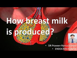 How to breast milk is produced ?