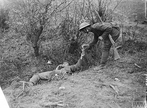 Voices of the First World War: Wounded