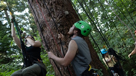 Tree climbers from around the world gather at Silver Falls State Park