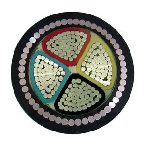 [Hot Item] Steel Wire or Tape Armoured Cable (6mm 4 Core 25mm)