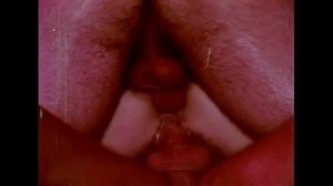 An American Fantasy Gathering (USA 1977) (Bobby Astyr, Richard Mailer, Ashley Moore, Isis Taylor)