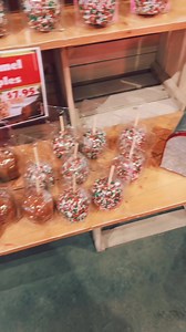 Apple Works on Reels