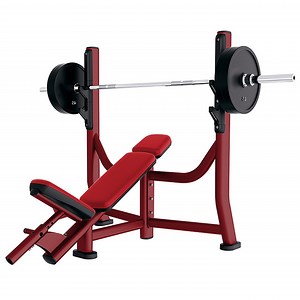 [Hot Item] Commercial Gym Equipment Incline Bench Fitness Machine