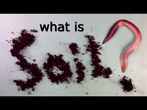 What is soil?