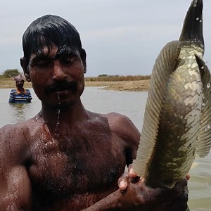 10M views · 5K reactions | வெள்ளைக்காரன் கற்றுக்கொடுத்த வாழை நாரை...