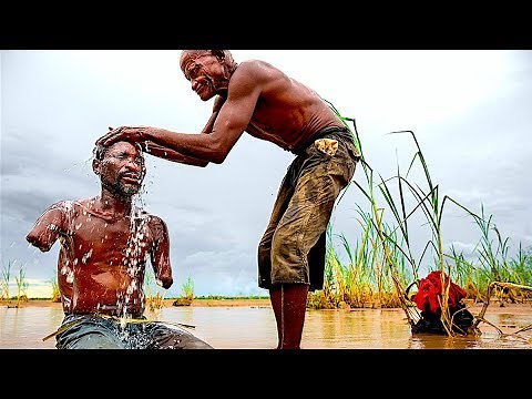 Wenn Löwen angreifen