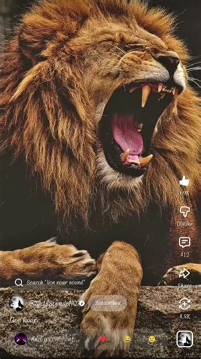 lion sounds #shorts #world