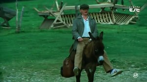 1.2K views · 167 reactions | Primavara bobocilor (1985) | Filme Vechi | Facebook