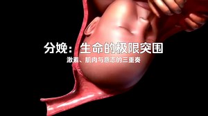 「人体奥秘探索」第五集：分娩时刻——宫缩如何推动生命诞生？