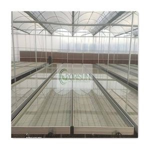 [Hot Item] 4X8 Flood Tables Hydroponics Ebb and Flow Rolling Bench for Commercial Greenhouse