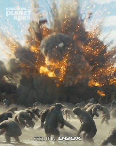 Their planet. His kingdom. Our hope. Don't miss #KingdomofthePlanetoftheApes in D-BOX starting this Friday! Immerse yourself in the thrills with D-BOX's motion technology which makes you feel like you're part of the story. Get your D-BOX ticket now. | Cinemark