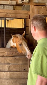 32 reactions | Our Farmers absolutely loved visiting the Wild Rose Equine Center where we got to visit the beautiful horses and other farm animals.  #empoweringabilities | The Farmer's House | Facebook