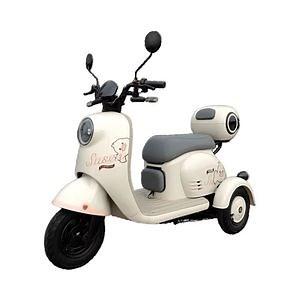 [Hot Item] Most Popular 30km-50km/H 3 Wheel Electric Bike Tricycle for Adults Open Body 501-800W Electric Trike with Lead-Acid Battery