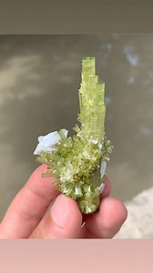 Tourmaline cluster #gems #aurora #MiamiDolphins #slice #jewllerydesign #munich #sapphire #agate #agate #rubi #japan #demontide #jewllery #NationalVideoGamesDay #VMA #venom #brunomars #cardib #friday13th #fridaythe13th #Onam #fish #art #pakistan #Hongkong #pink #amazing #kashmir #nature #crystal | BB Fine minerals