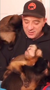 MonkeyBoo MonkeyMeela MonkeyHappy excited #monkey #excited #friends #playtime | MonkeyBoo