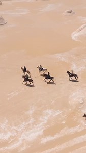 1.1K views | ✨ Ride into the dream with us - 25–30 Sept · 5 days in...