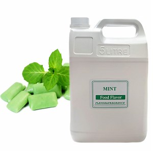 [Hot Item] Concentrate Mint Flavor for Chewing Gum