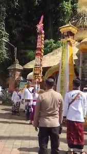 3.1K views · 231 reactions | Balinese women are without doubt strong....