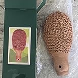 Pumice Stone for Feet (Blue)