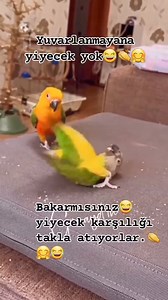 Pasta Resimleri on Reels