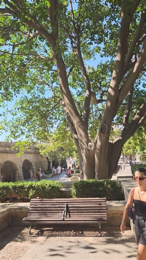 Good morning from Palma Mallorca 🇪🇸 Join the largest Facebook group Mallorca ▶️▶️ I ❤️ Mallorca | mallorcard 🌴🌴🌴🌴🌴🌴🌴🌴🌴🌴🌴🌴🌴🌴🌴🌴🌴 _______________________________________________ #mallorca #majorca #Majorque #palma #palmademallorca | Palma de Mallorca