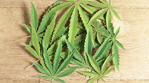 Our hemp Body Butter contains the oil from more than 3500 seeds from the hemp plant! It's one of our most moisturising Body Butters giving up to 24hrs of moisturisation! #MyBodyButter | The Body Shop | Facebook