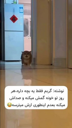 #جوک #طنز #خنده #کلیپ #لایک #سابسکرایب_یادتون_نره