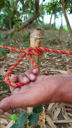 Simple and Practical Constrictor Knot Tutorial ‼️