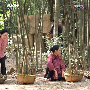 457K views · 5.7K reactions | Mụ yêu tinh sơ suất, suýt thì bại lộ thân phận -------- Nội dung video không có thật, được trích từ "Cổ Tích Việt Nam" ©️ Bản quyền thuộc THVL - Báo và phát thanh, truyền hình Vĩnh Long #THVL #vuoncotich | Vườn Cổ Tích | Facebook