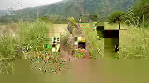 22K views · 1.2K reactions | Natural steam hot springs | REAL LIFE Family | Facebook