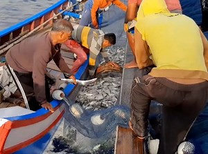 deep sea fishing nets | Muammar Rafly