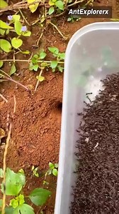 অনুপ্রেরণার গল্প - Inspirational Stories on Reels