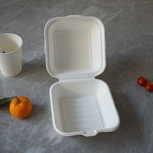 [Hot Item] Takeaway Food Containers for Burger Box